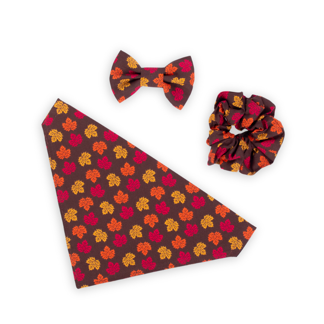 accessories-cultured-canine-pawtique