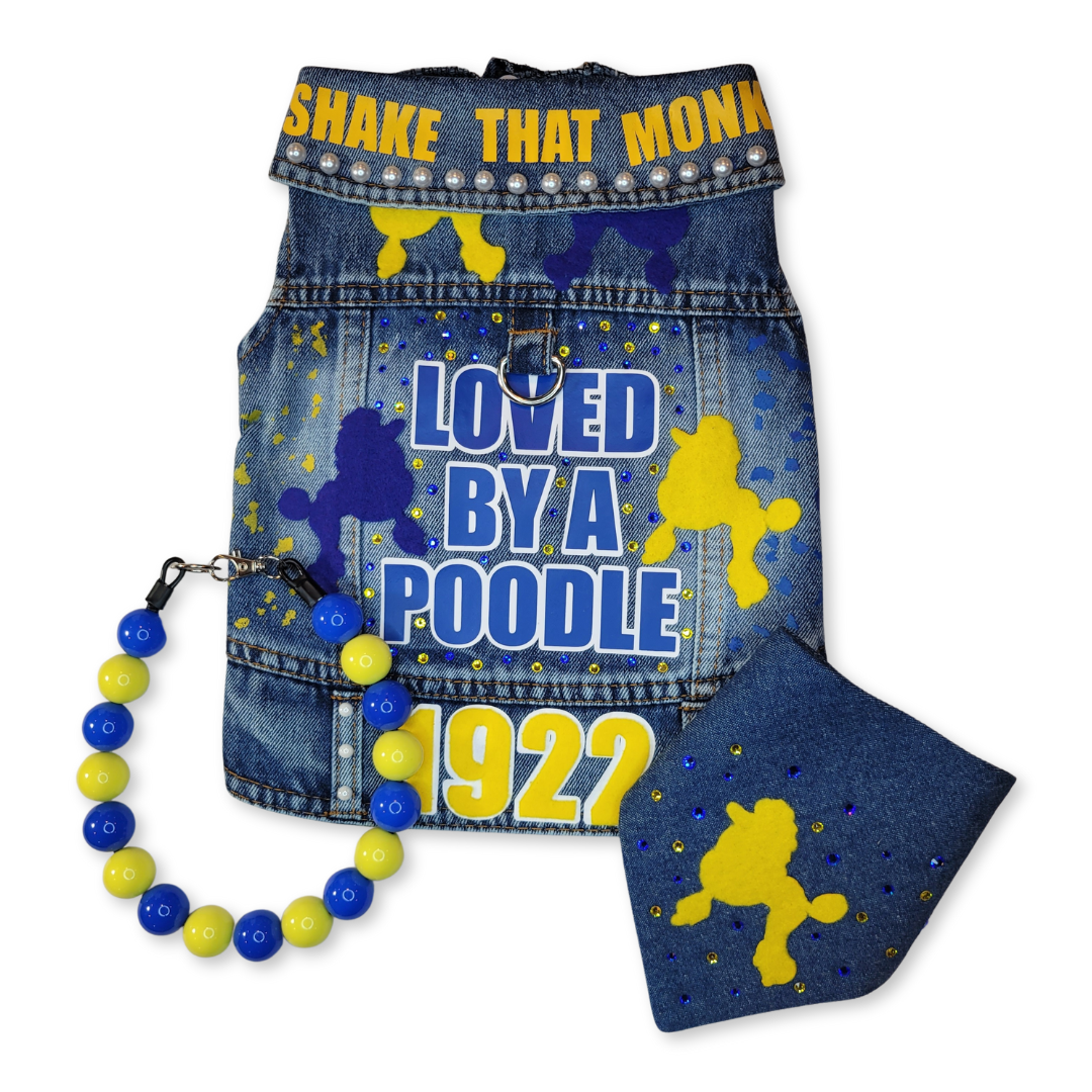 SGRho Inspired Decorative Pet Necklace