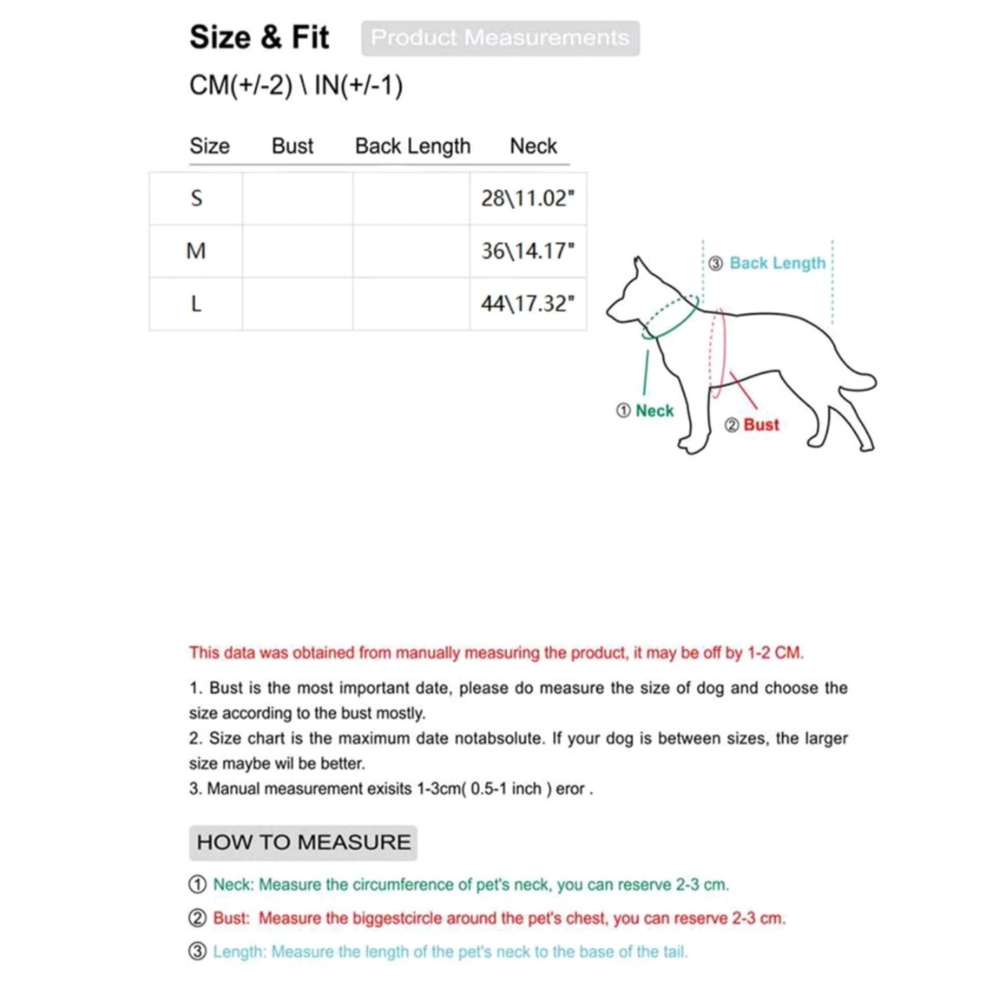 Gold Figaro Chain Pet Necklace