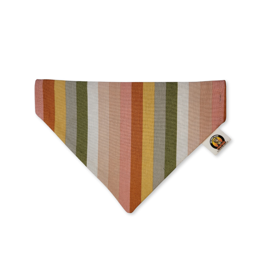 Boho Floral Stripe Bandana (Reversible)