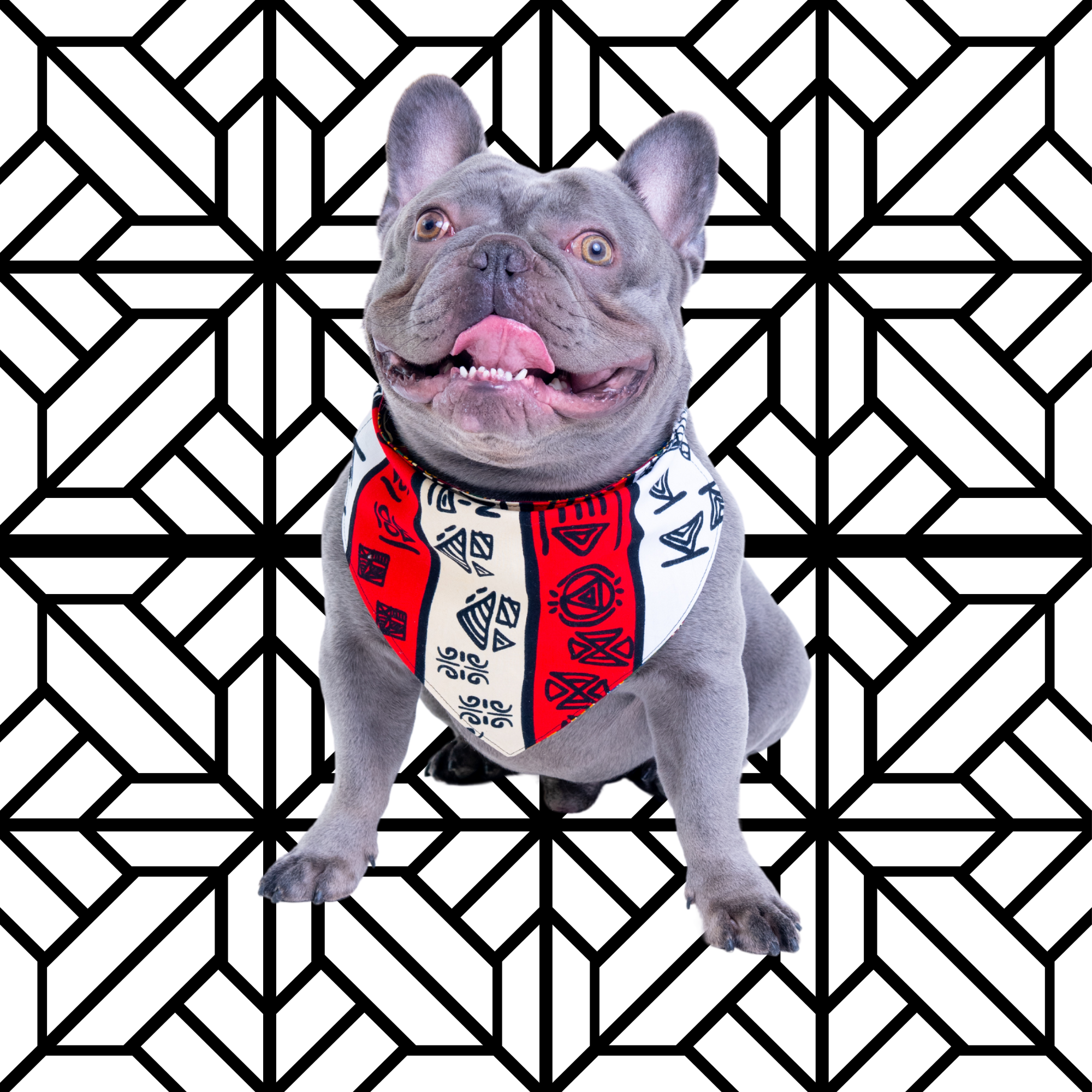 African Accents Reversible Pet Bandana