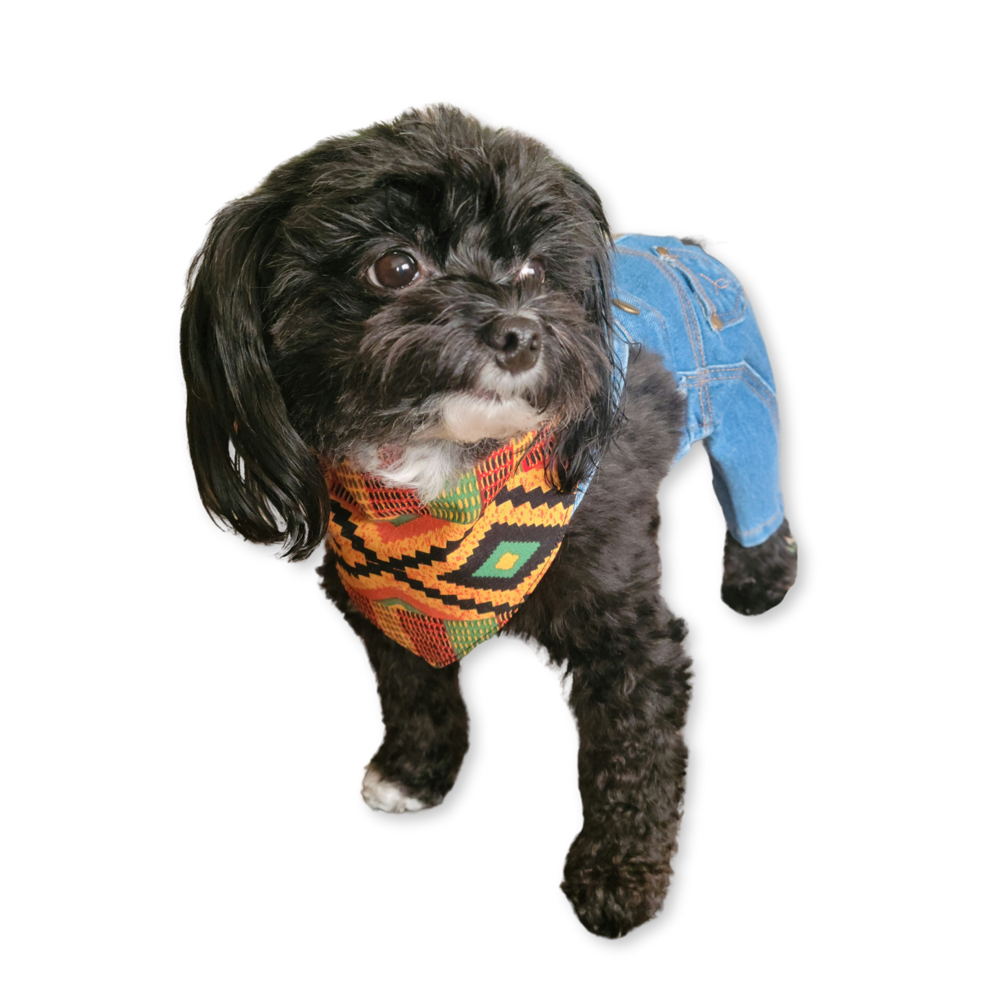 Kente Plain Pet Bandana