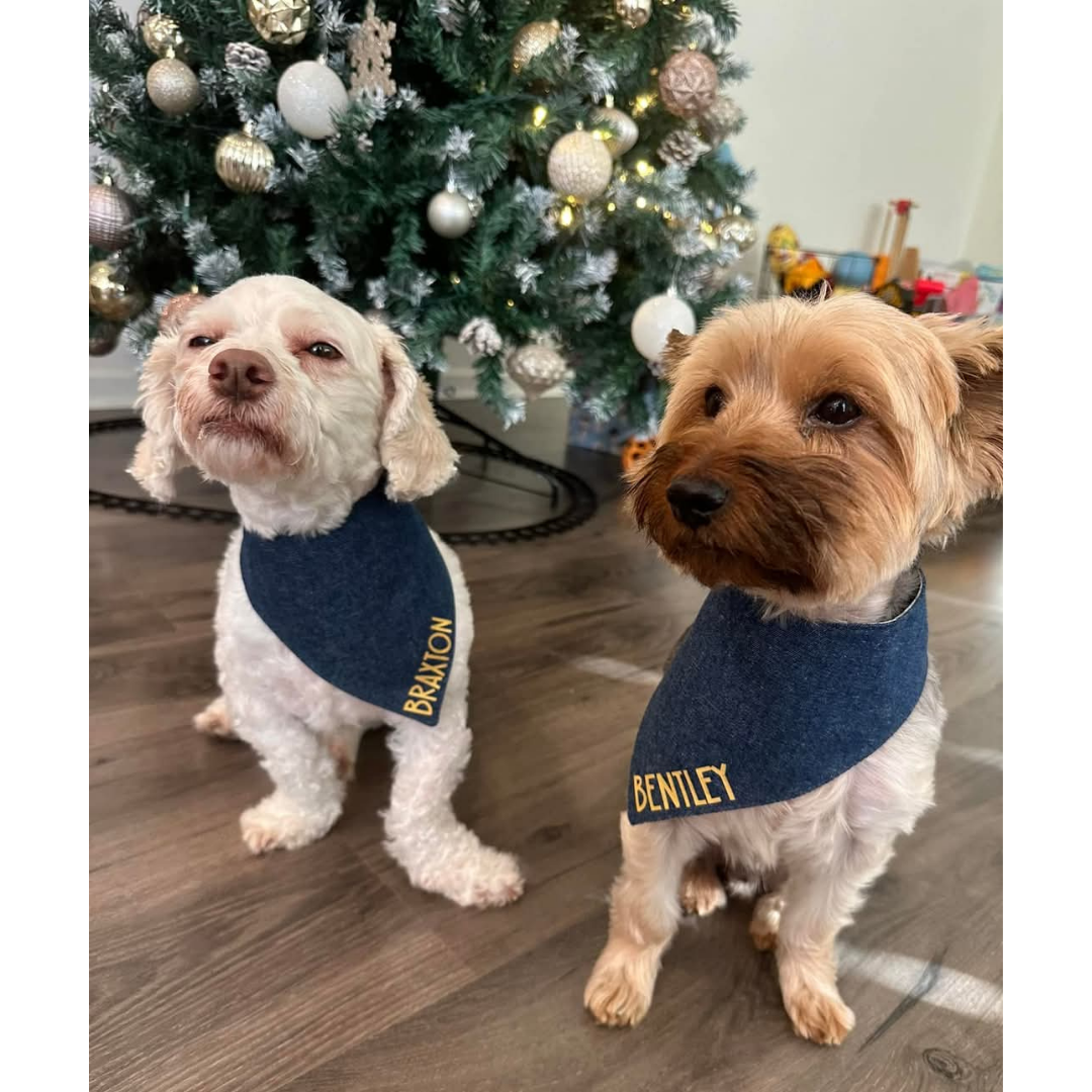 Dark Denim Pet Bandana