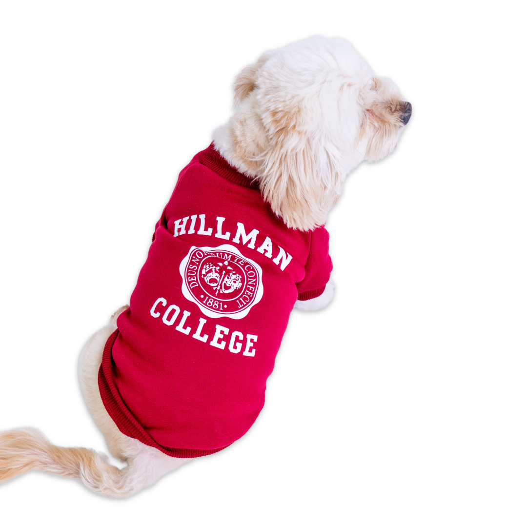 Hillman College Pet Sweatshirt