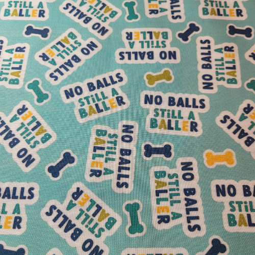 No Balls, Still A Baller Pet Bow Tie