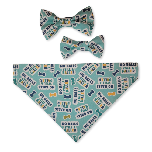 No Balls, Still A Baller Pet Bow Tie