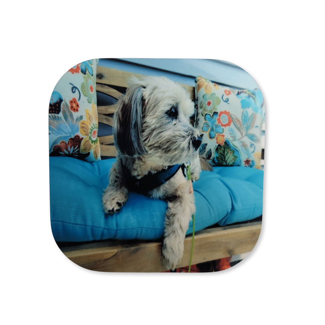 4" Custom MDF Photo Coasters (4pc.)