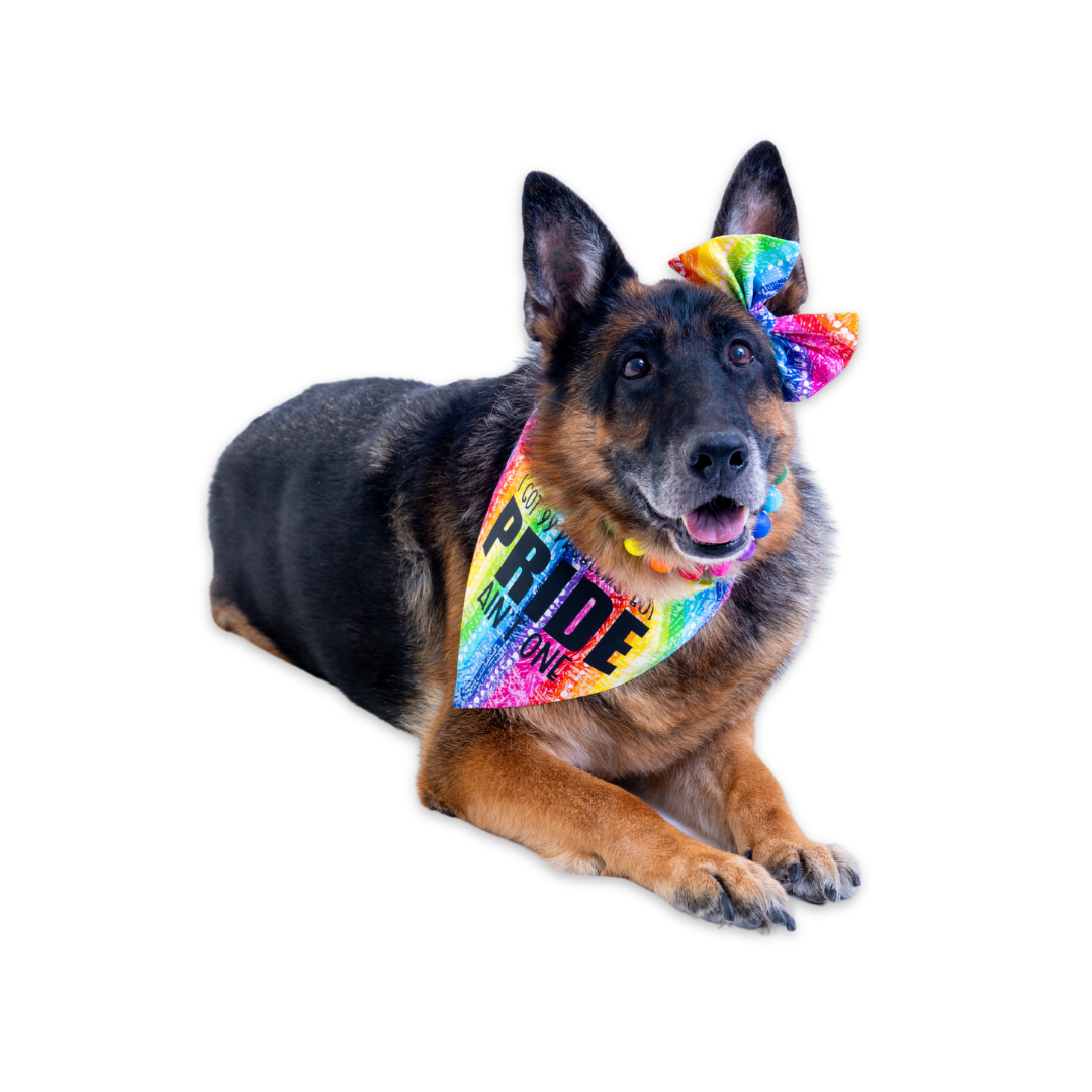 Pride 99 Problems Pet Bandana