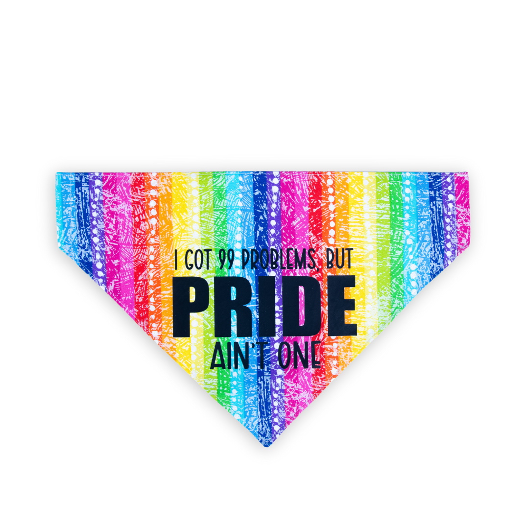 Pride 99 Problems Pet Bandana