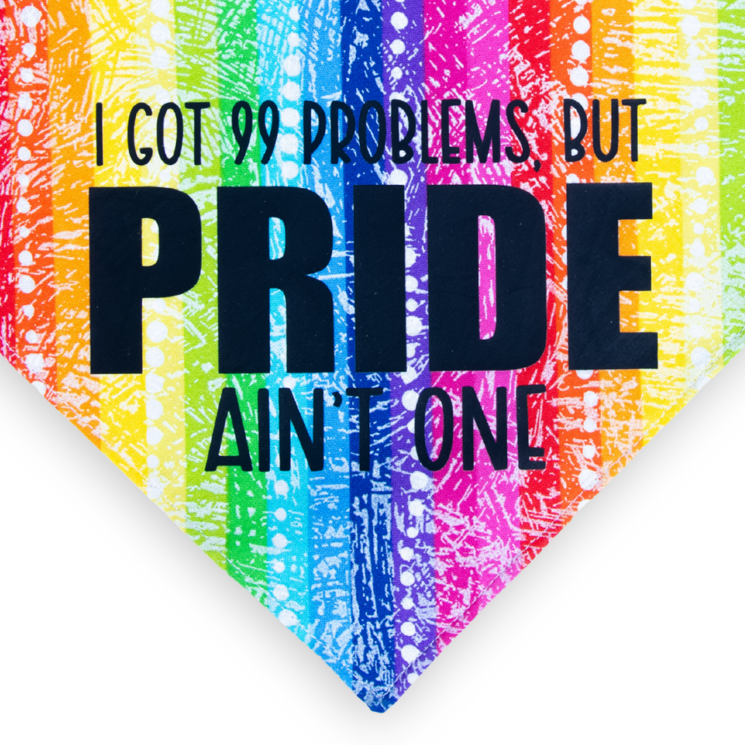 Pride 99 Problems Pet Bandana