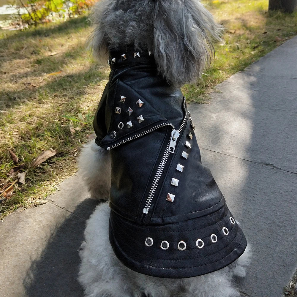 Winter Leather Coat for French Bulldogs and Small/Large Dogs
