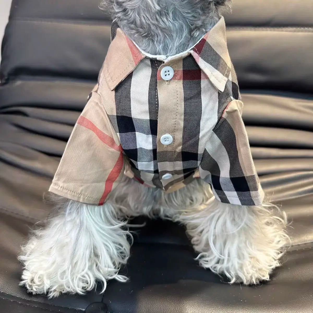 Thin Checkered Shirt for Small Dogs & Cats: French Bulldogs, Schnauzers, Teddy Bears, Shiba Inus