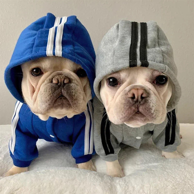 Adidog Dog Jumpsuit Hoodie for Yorkies & French Bulldogs