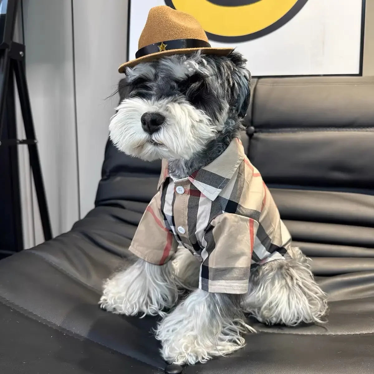 Thin Checkered Shirt for Small Dogs & Cats: French Bulldogs, Schnauzers, Teddy Bears, Shiba Inus