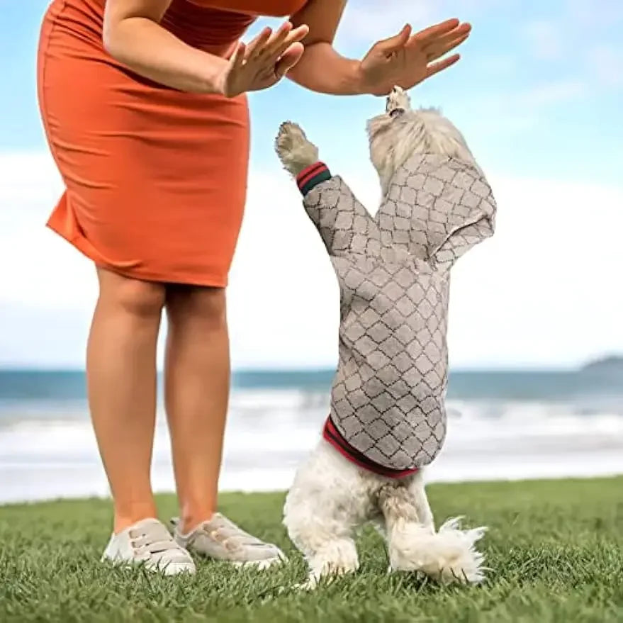 Luxury Dog Hoodies & Coats with Zipper Design for Easy Wear