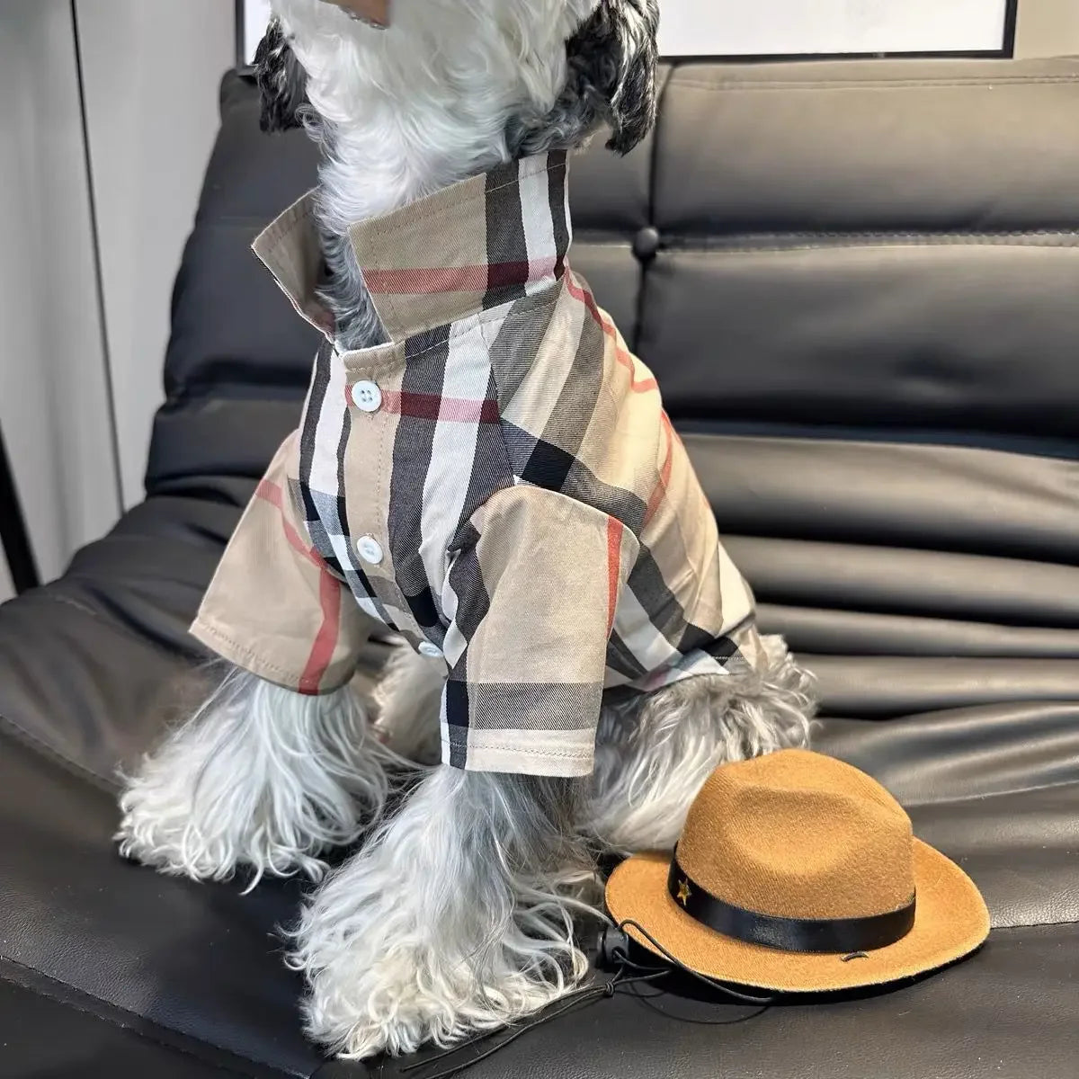 Thin Checkered Shirt for Small Dogs & Cats: French Bulldogs, Schnauzers, Teddy Bears, Shiba Inus