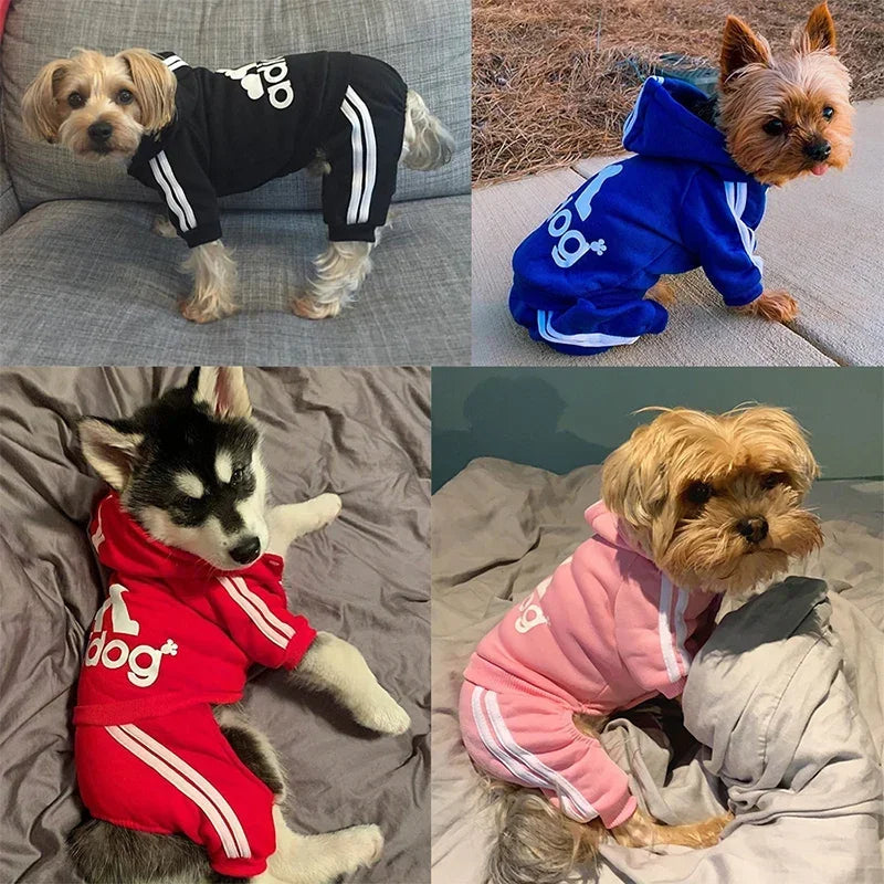 Adidog Dog Jumpsuit Hoodie for Yorkies & French Bulldogs