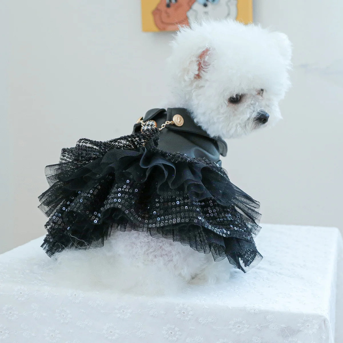 Autumn Sequin Leather Dog Dress for Small to Medium Breeds
