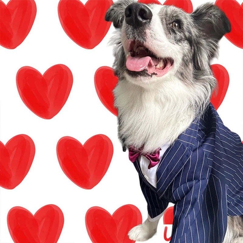 Striped Tuxedo Jacket for Large Dogs