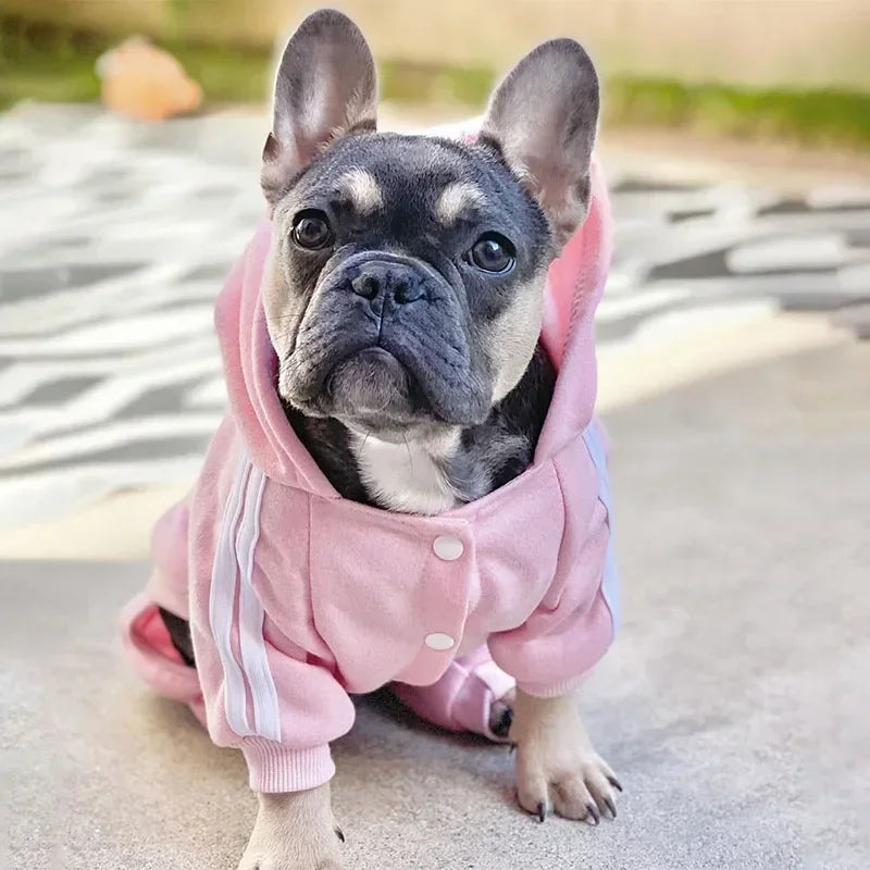 Adidog Dog Jumpsuit Hoodie for Yorkies & French Bulldogs