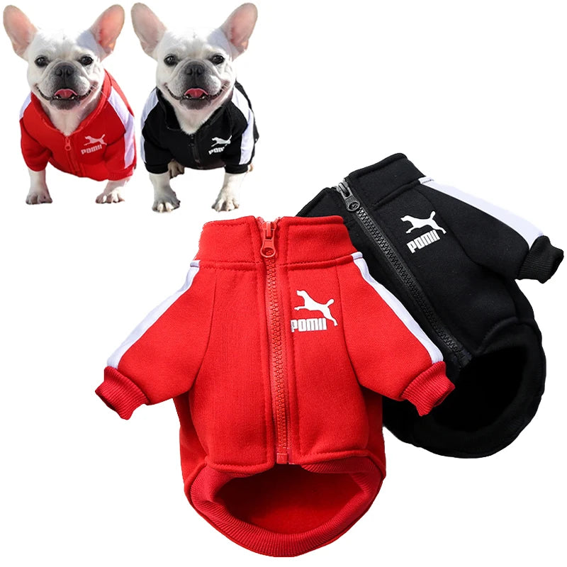 Baseball Dog Jacket for Small to Medium Breeds