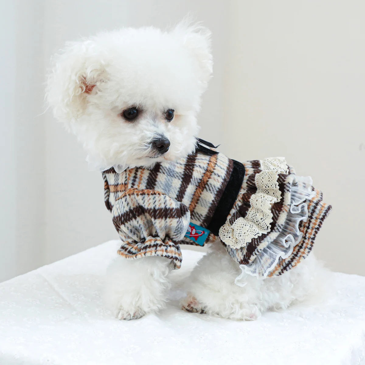 Pet Princess Dress for Small & Medium Dogs
