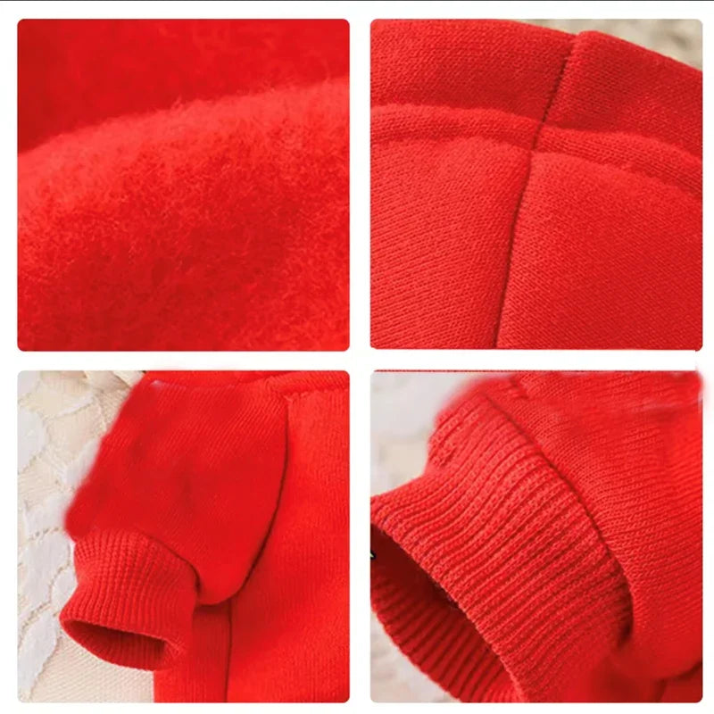 Spring/Fall Dog Sweaters & Coats for Small to Large Breeds