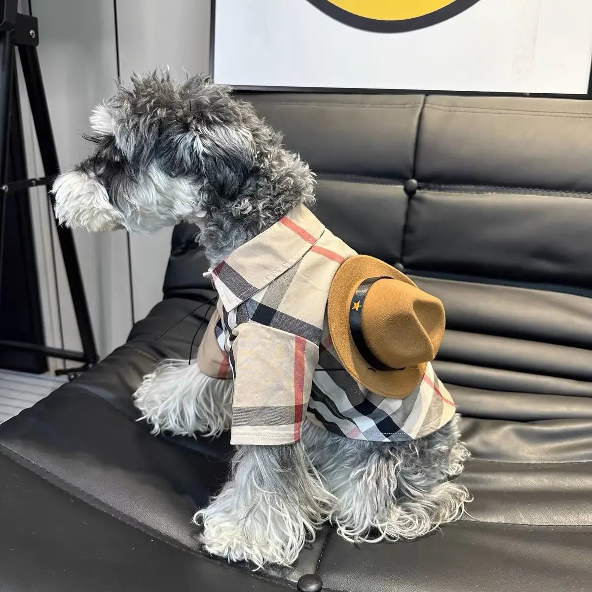 Thin Checkered Shirt for Small Dogs & Cats: French Bulldogs, Schnauzers, Teddy Bears, Shiba Inus