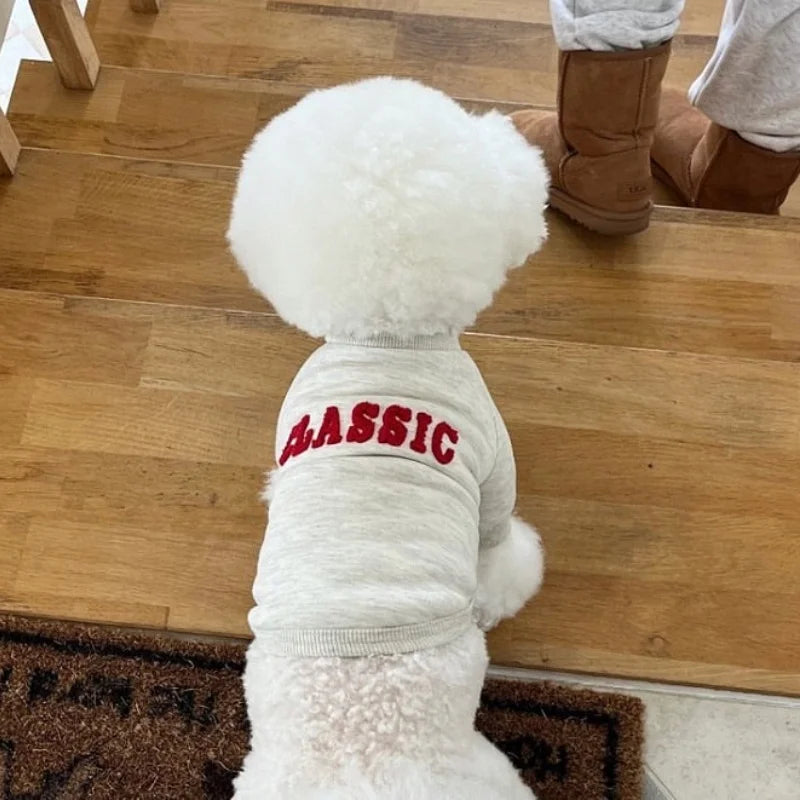 Luxury Letter Print Dog Hoodies