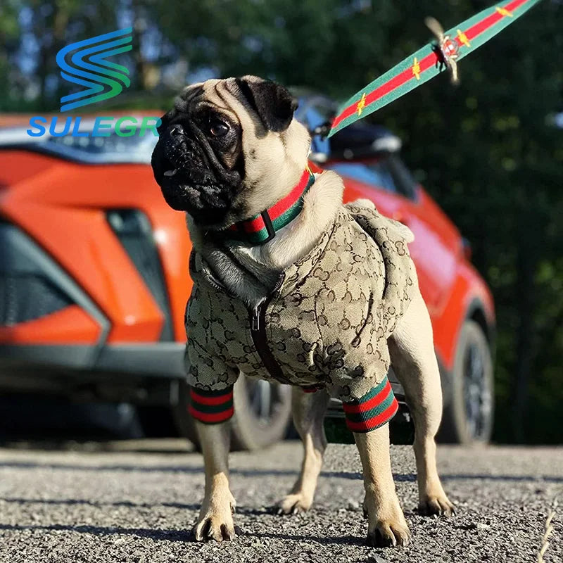 SULEGR Luxury Dog Hoodie: Classic Winter Jacket with Zipper for Easy Wear