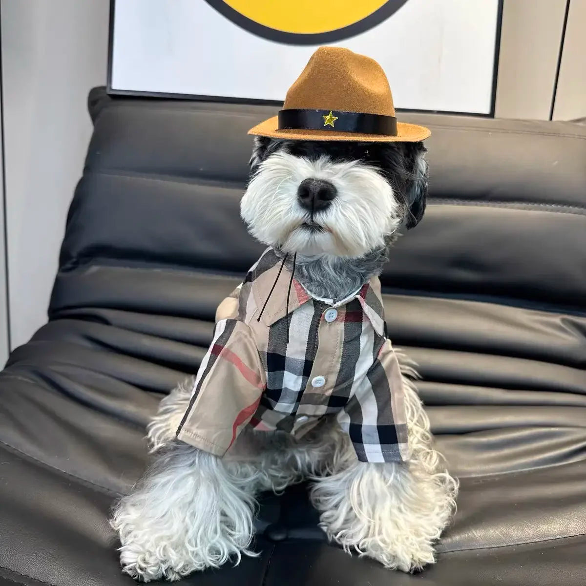 Thin Checkered Shirt for Small Dogs & Cats: French Bulldogs, Schnauzers, Teddy Bears, Shiba Inus