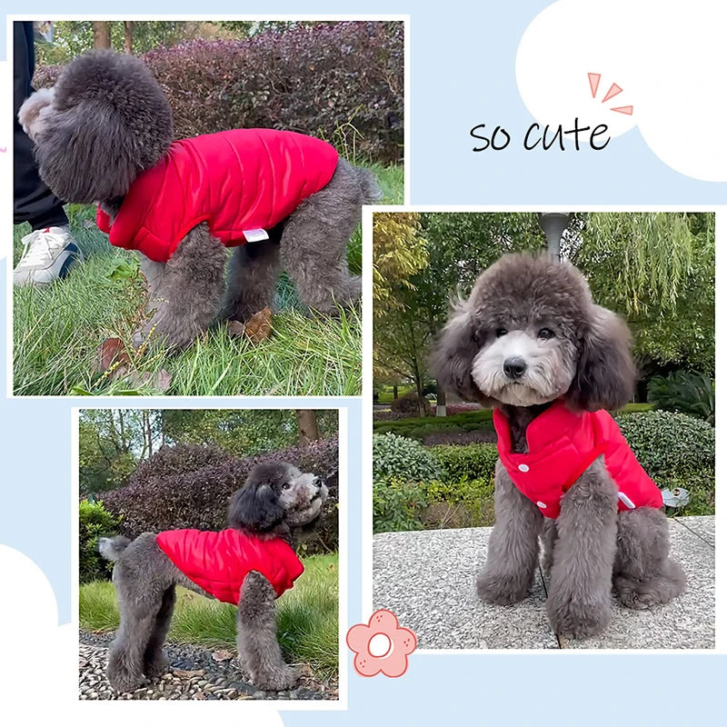 Double-Sided Winter Dog Coat for Small to Medium Breeds