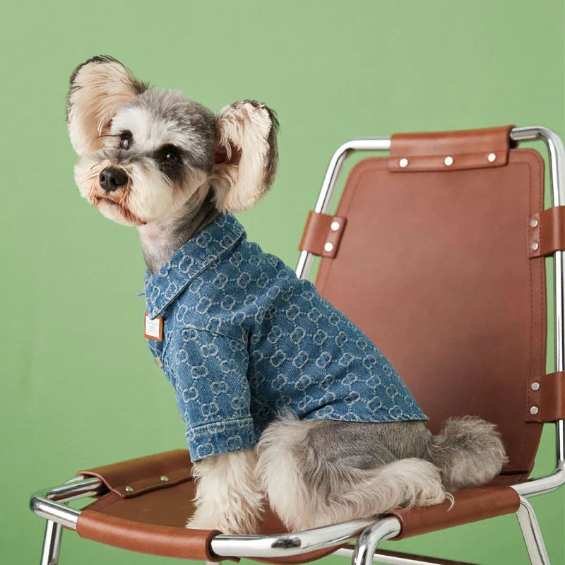 Suprepet Luxury Breathable Dog Shirts for French Bulldogs & Schnauzers