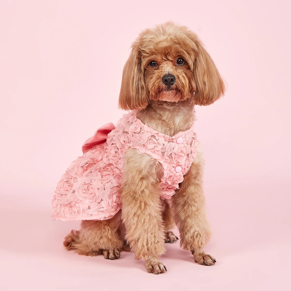 Embroidered Flower Princess Dress with Bow for Puppies