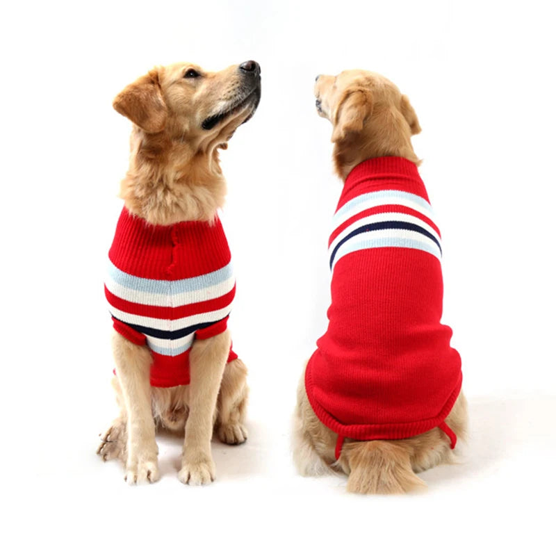 Striped Winter Sweater for Medium/Large Dogs