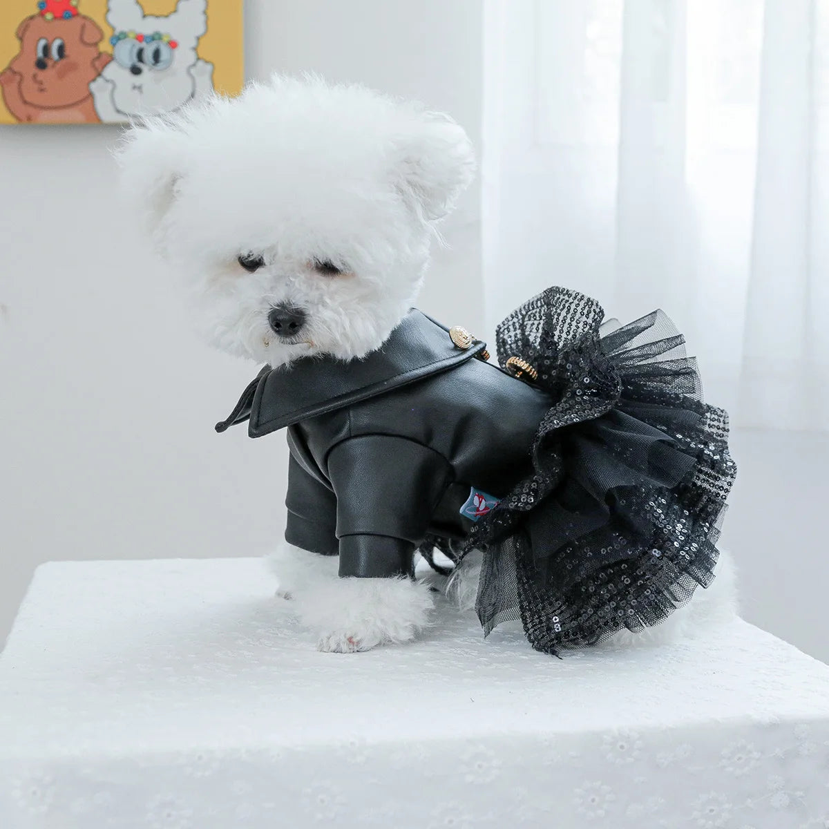 Autumn Sequin Leather Dog Dress for Small to Medium Breeds Cultured Canine Pawtique Autumn Sequin Leather Dog Dress for Small to Medium Breeds Cultured Canine Pawtique