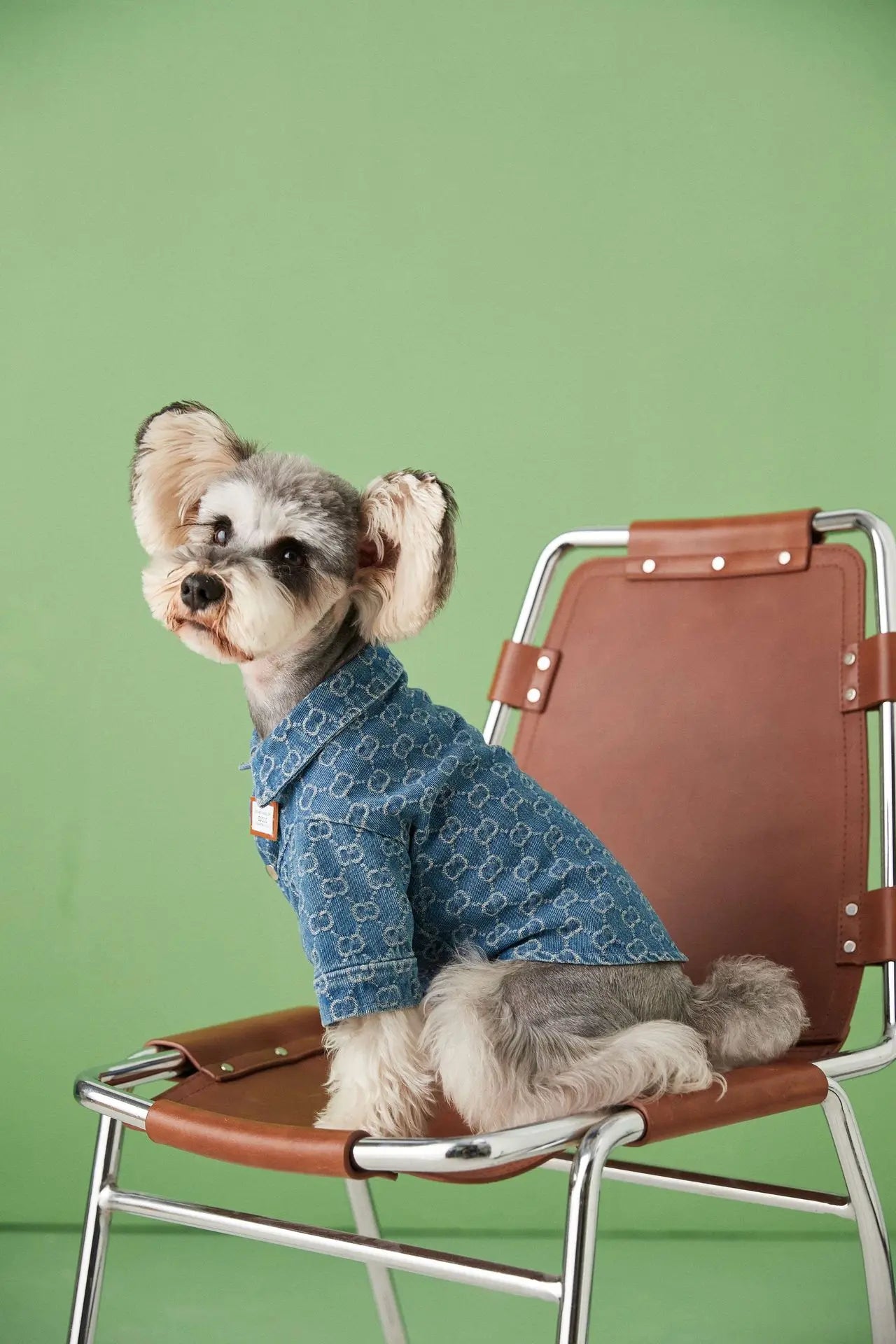 Suprepet Luxury Breathable Dog Shirts for French Bulldogs & Schnauzers