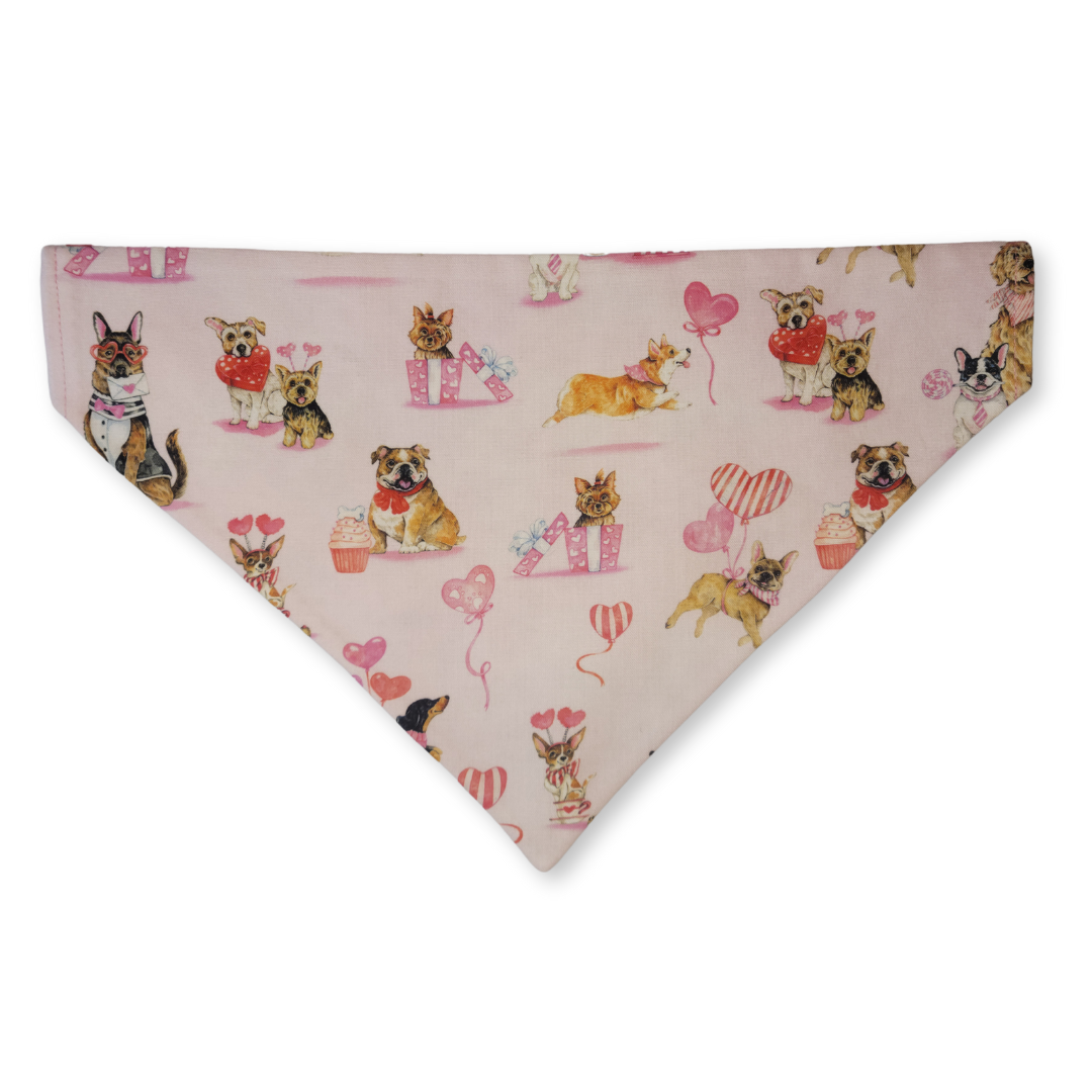Puppy Love & Floral Hearts Pet Bandana (Reversible)
