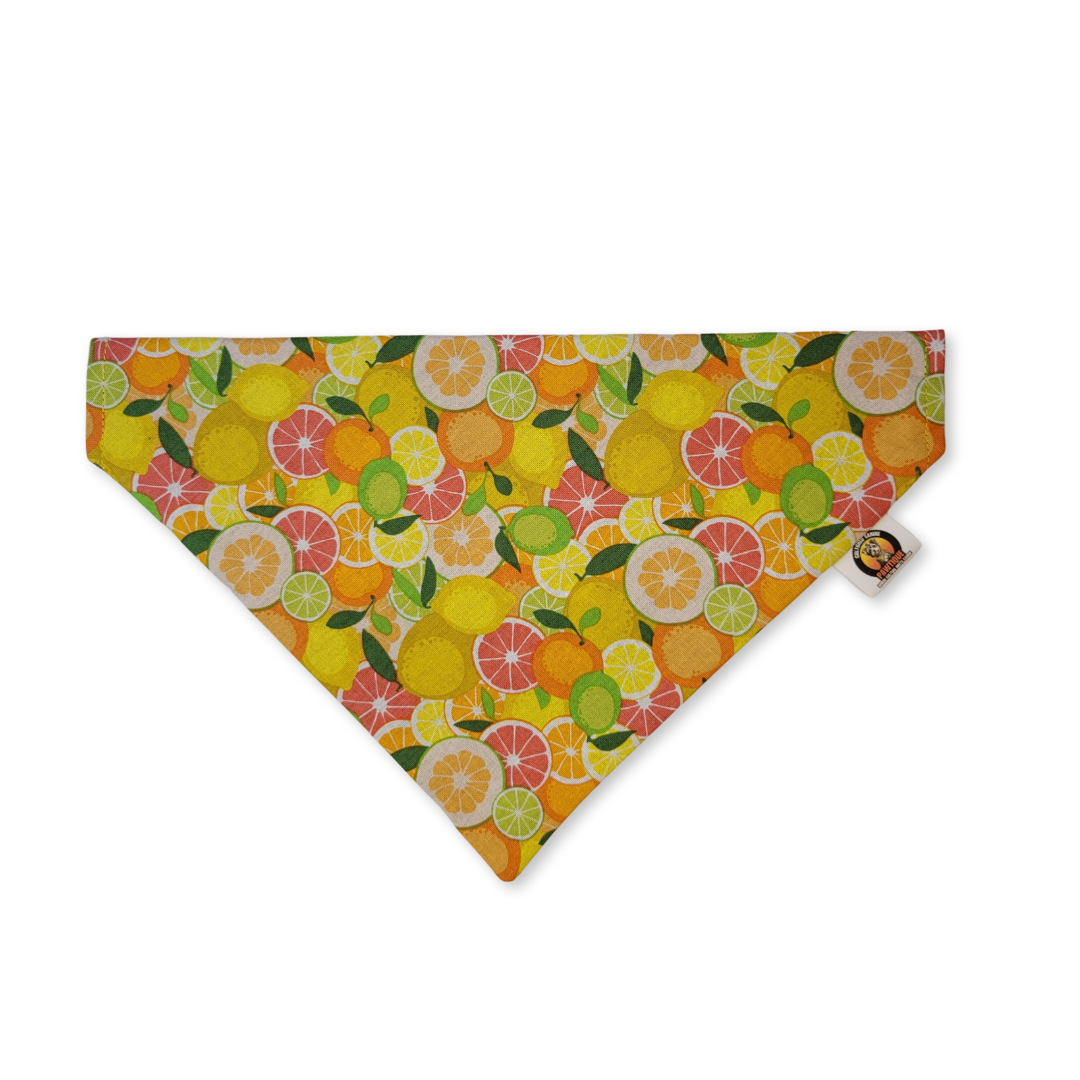 Summer Citrus Pet Bandana