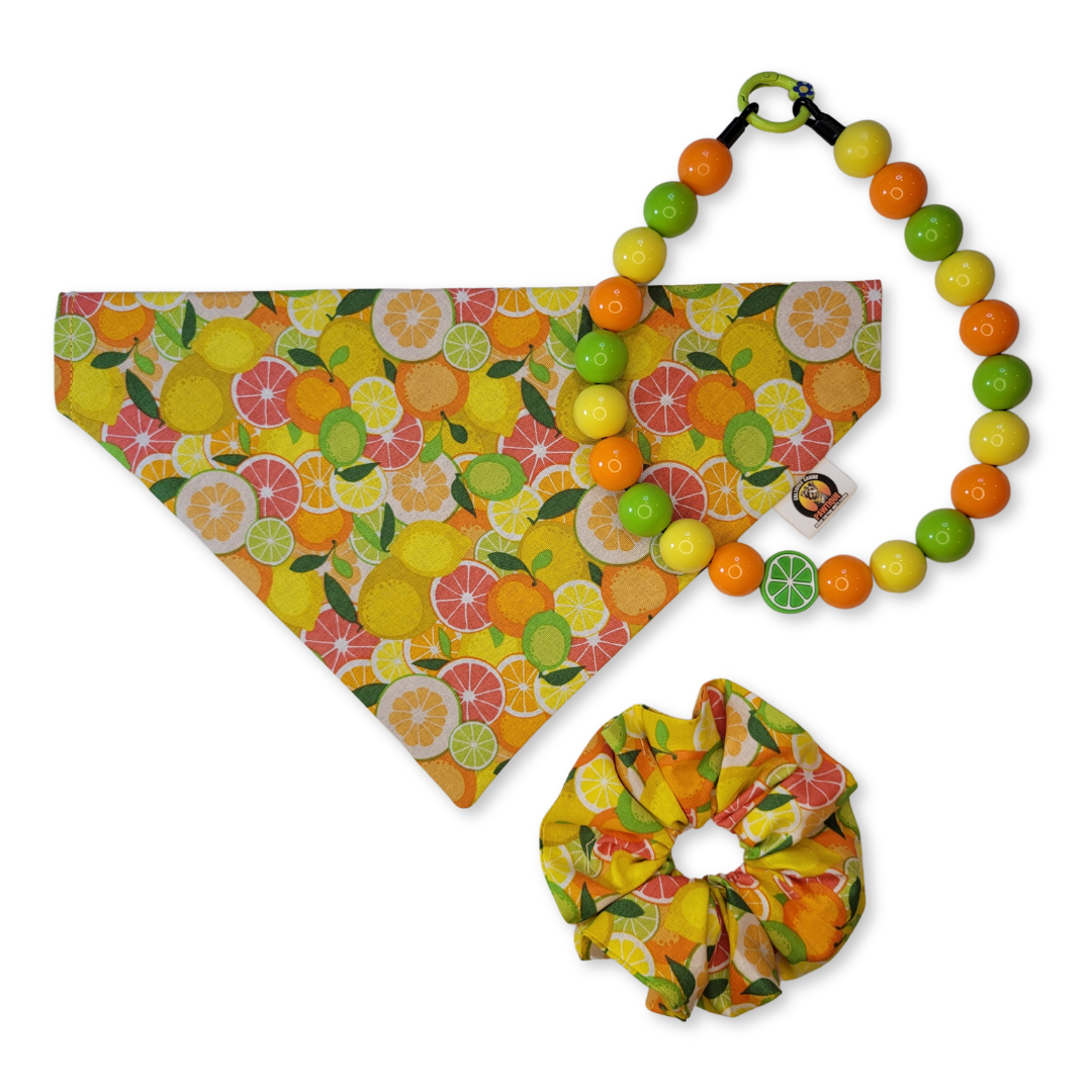 Summer Citrus Pet Bandana
