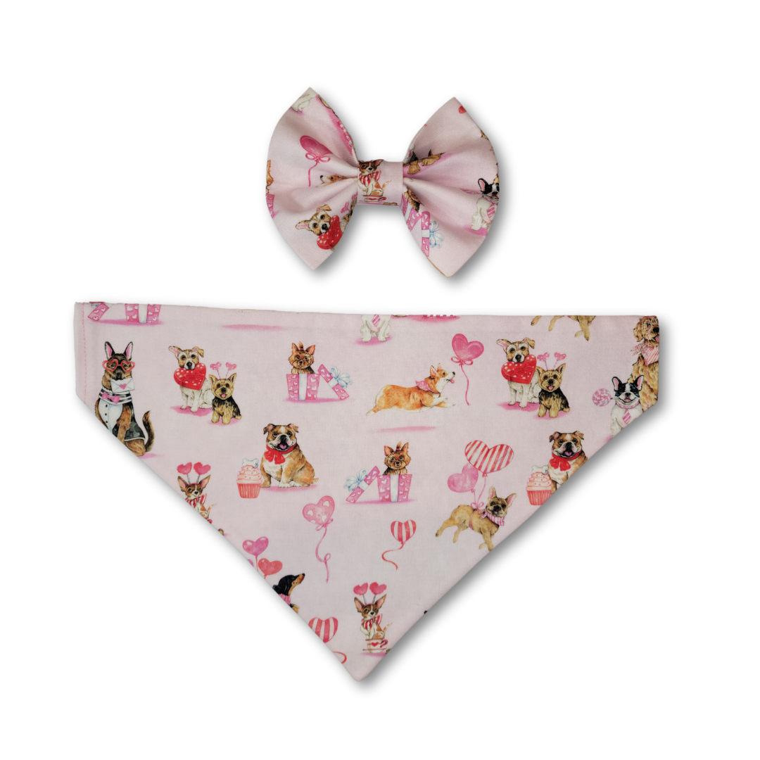 Valentine Pup Pet Collar Bow