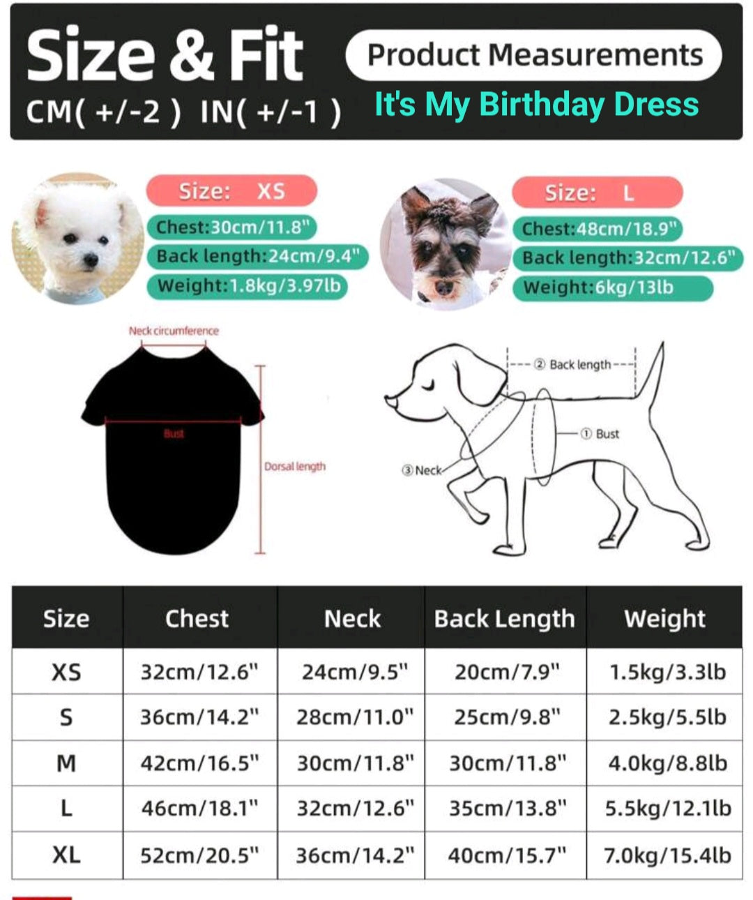 It's My Birth Day Dress - Embroidered