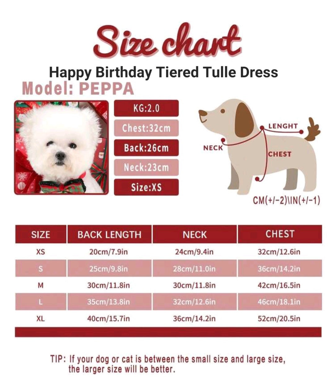 Embroidered Happy Birthday Dress