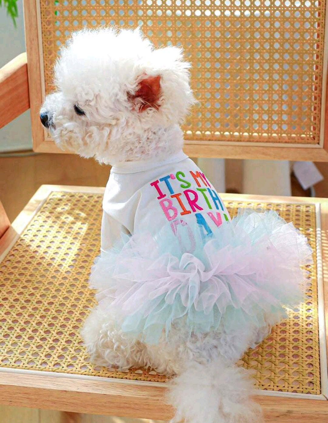 It's My Birth Day Dress - Embroidered